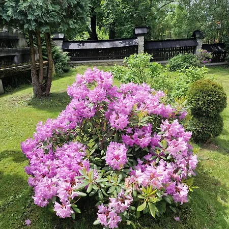 Villa Cyrlanka Zakopane