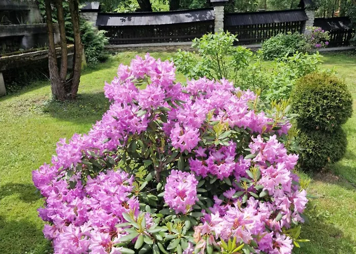 Villa Cyrlanka Zakopane